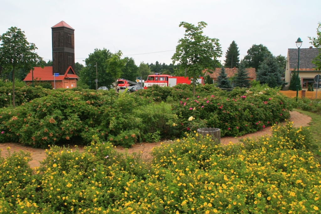 Wüstenhainer Treckertreffen 2009_41.jpg